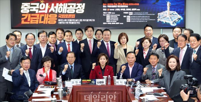 [기고] '몰이념'의 종식 시대, 국민의힘 어디로 갈 것인가