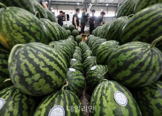 "수박 한통에 3만원"…역대급 폭염에 농산물 가격 급등