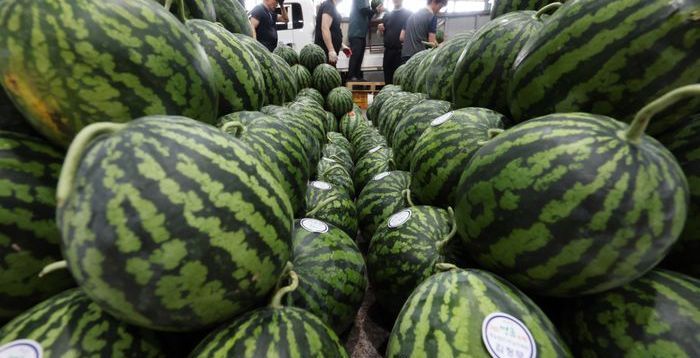 "수박 한통에 3만원"…역대급 폭염에 농산물 가격 급등