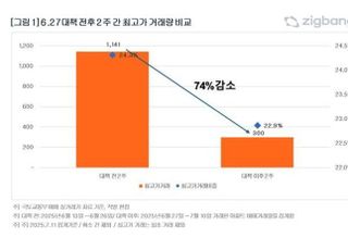 ‘6.27 대출 규제’로 서울 아파트 최고가 거래 74% 감소