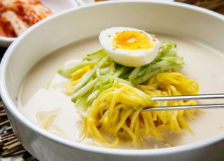 [AI에게 물었다] 여름 한정판 콩국수…보양일까, 독일까?