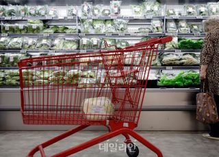 ‘히트플레이션’ 비상…정부, 민생회복 소비쿠폰으로 정면돌파
