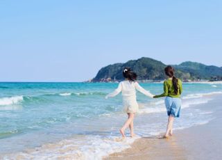 [데일리 헬스] 바다? 산? 여름휴가 떠나기 전 알아두면 좋은 '안전상식'