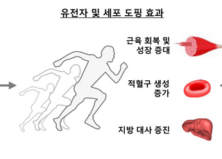 KIST, 유전자 가위 활용한 차세대 도핑 분석법 개발