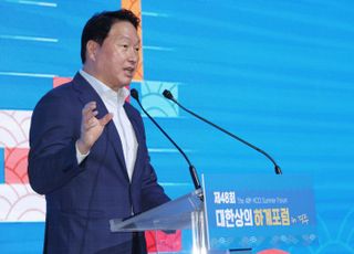최태원 "APEC, 韓 민주주의 회복 알리는 기회될 것"