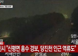 [속보] 당진시 "당진천 범람…인근 초등학교·국민체육센터로 대피"