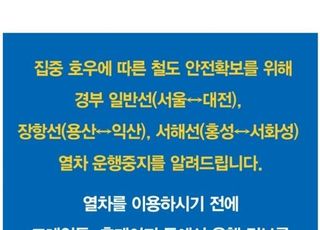 [속보] 코레일 "경부선·장항선·서해선 일부 일반열차 운행 중지"…"평택역~신창역 1호선도 운행 중지"