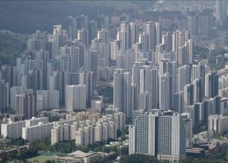 대출규제로 고가 아파트 거래량 줄었지만...가격 더 올랐다