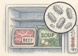 [AI에게 물었다] 만두 얼려도 살아있는 세균...안전하게 먹는 방법은?