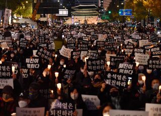 [데일리안 플라자] 폭주민주주의에 치여버린 견제와 균형