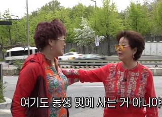 [기자수첩-연예] 유튜브 대범람 시대 속 연예인의 생존법