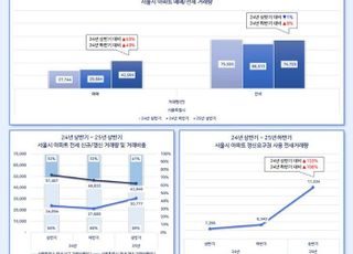 상반기 서울 아파트 매매 거래 4만2594건, 전년 대비 53% 증가