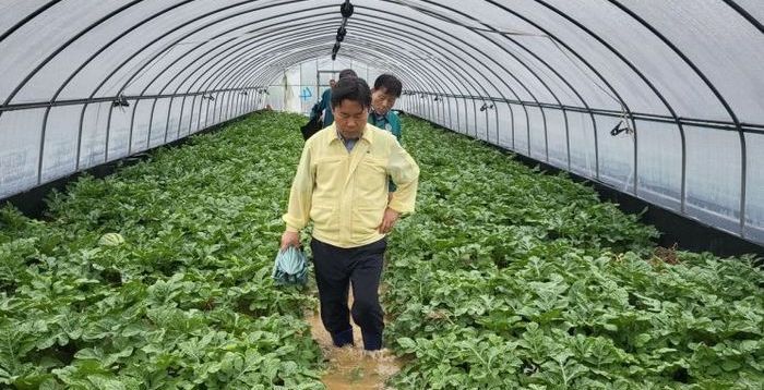 "물 찼잖아" 뺨 때리고 욕설·폭언…부여군수 수해현장서 '날벼락'