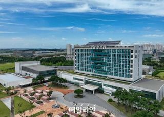 과수 탄저병 중점 관리 돌입…“폭우 뒤 확산 우려 커져”