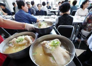 “보양식은 일상, 외식은 부담”…외식업계, 초복 특수 '옛말'