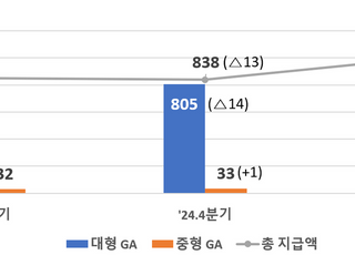 보험설계사 정착지원금 과다 지급 '여전'…전분기 대비 19.7% 증가