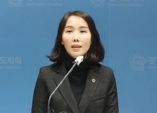경기도의회 국힘 이인애 의원, 자당 양우식 의회운영위원장 퇴진 요구