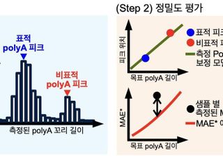 아주대·가톨릭대 공동연구진, mRNA 치료제 품질관리 핵심기술 최초 개발