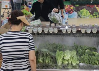 6월 생산자물가 0.1% 올라…배추 31.1%·돼지고기 9.5%↑