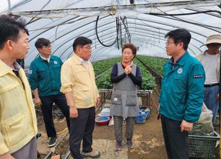 농진청, 폭우 피해지역에 기술지원…딸기 육묘농가 등 찾아 전문가 현장점검