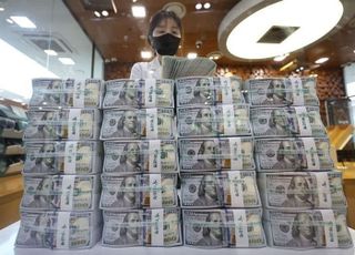 거주자외화예금 50억8000만 달러↑…달러화·기업예금 크게 늘어
