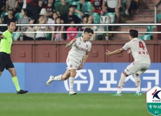 수원FC 웃고·포항 울고…희비 엇갈린 K리그 여름 이적시장
