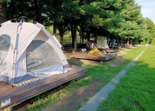 서울 성동구, 서울숲에 여름 캠핑장 개장…8월24일까지 운영