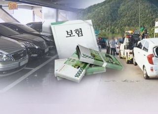 "차 사고수리, 정품 대신 인증품으로"…자동차 보험료 내려갈까