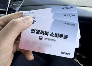 "자국민 세금걷어 외국女 85만원이나 주다니" 소비쿠폰 인증에 테러