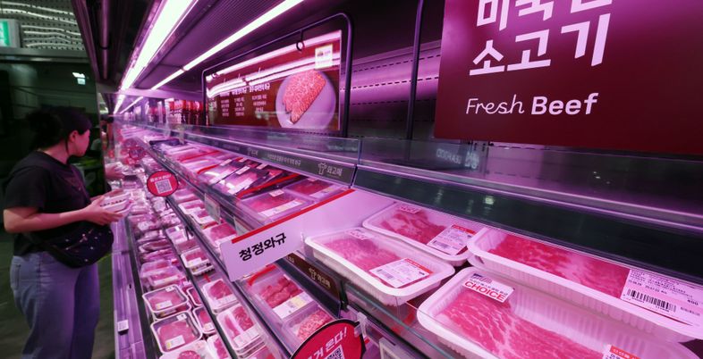 쌀·소고기 거론에 농업계 반발…관세 협상 사흘 앞 ‘긴장 고조’