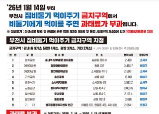 부천시, 내년부터 비둘기 먹이 주기주면 최대 100만원 과태료 부과