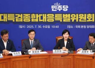 민주, '3대 특검 대응특위' 출범…"필요시 특검법 개정·특별재판소 고려"