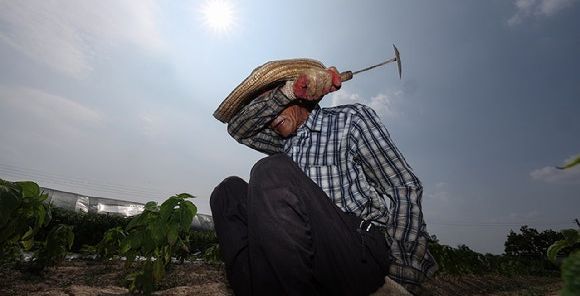 연일 '극한 폭염'에 온열질환자 2700명 넘어…사망 13명