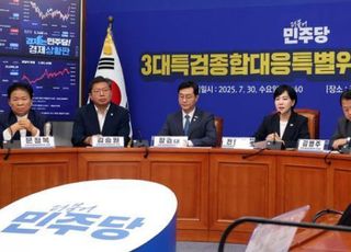 민주당 "내란 특별재판소 고려"…국민의힘 "與, 조폭 행동대장 노릇"