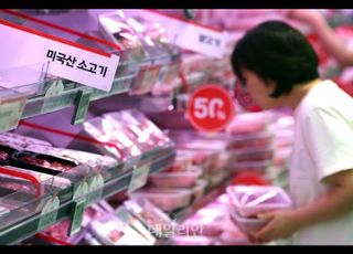 [한미 관세협상] 쌀·쇠고기 추가 개방 없다…정부 “농업 민감성과 국민 건강 고려”