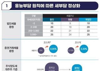 법인세율 24%→25%…주식 양도세 대주주 기준 50억→10억원 복원 [2025 세제개편]