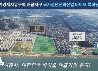 시흥시, 경제자유구역 배곧지구 연구용지 분양…외국인투자기업 대상