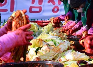 “금배추 1포기 5000원”…폭염에 중국산 김치 수입 급증