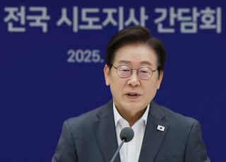 이 대통령, 가짜 뉴스 유튜버 대책 지시…"징벌적 배상이 최선"