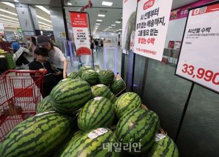 반복되는 폭염·폭우…이상기후가 불러온 물가 폭탄