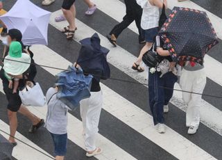 '입추'에도 아직 가을은 멀었다…전국 무더위 계속·남부 많은 비 [내일날씨]