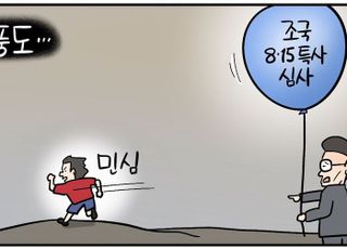 李정부 첫 광복절 특사에 조국?…지지율 높은데 '민심 역풍' 쯤이야 [데일리안 시사만평]