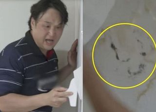 장마철 불청객 곰팡이, 흡입하면 '이 질환' 심해져…예방하려면? [데일리 헬스]