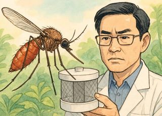 대전서 올해 첫 일본뇌염 매개모기 확인