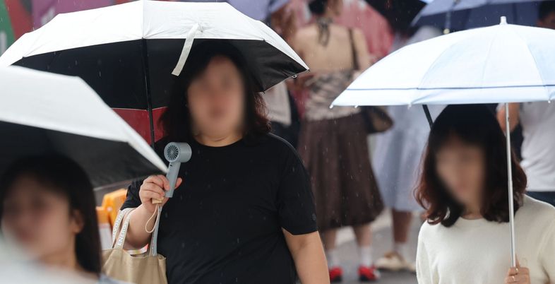 남부지방 강한 비·체감온도 31도...일본뇌염 매개모기 등장, 예방법은? [오늘 날씨]