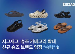 지그재그, ‘브랜드 슈즈’ 카테고리 강화 '속도'