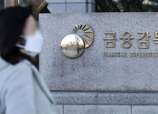 금감원, 21일부터 금융지주·은행 ‘책무구조도’ 현장 점검