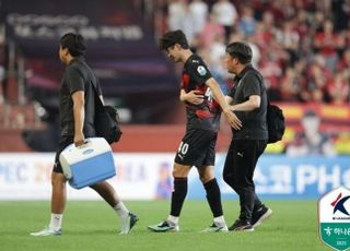 '미세골절' 포항 기성용, 전북현대전 결장 유력