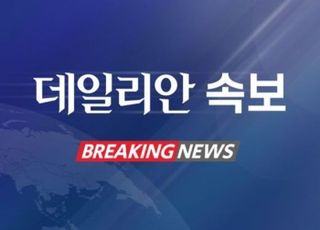 [속보] 특검팀, '김건희 집사' 김예성 입국시 공항서 체포 방침