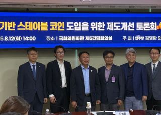 "원화 스테이블코인 수요 미지수…韓 실정 맞는 법제화 필요"